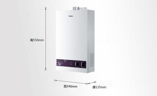 ����ȼ���ˮ��JSQ20-H(12T)����ֵ�Ó���!